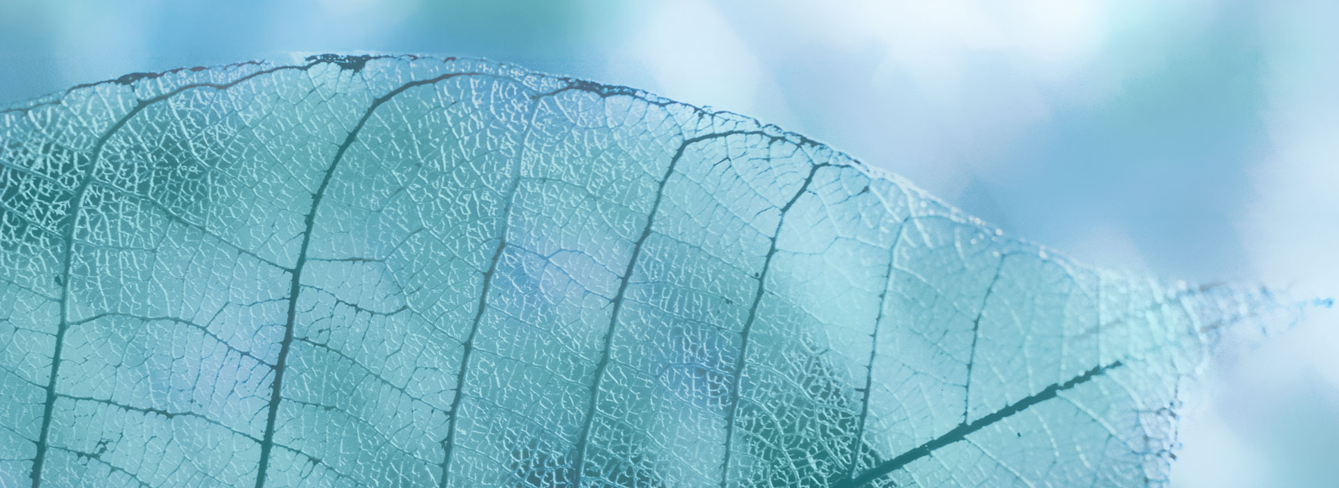 Essential Massage Therapy FAQ image