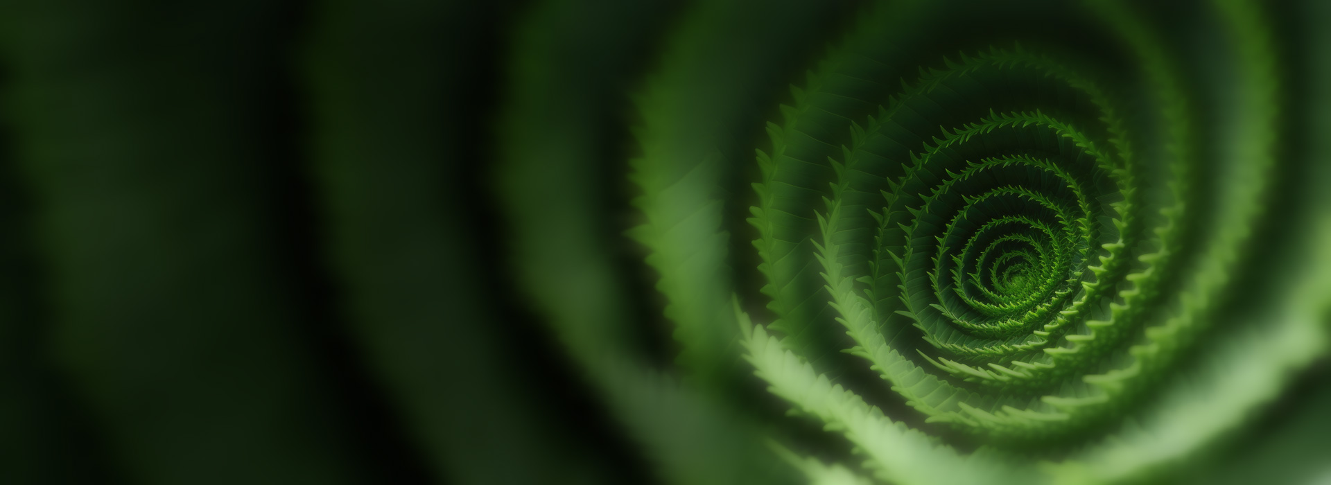 Essential Massage Therapy Services, Sedalia, MO